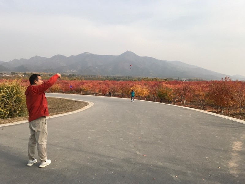 北京的秋